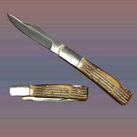 EW-646 - Bone Handle Pocket Knife