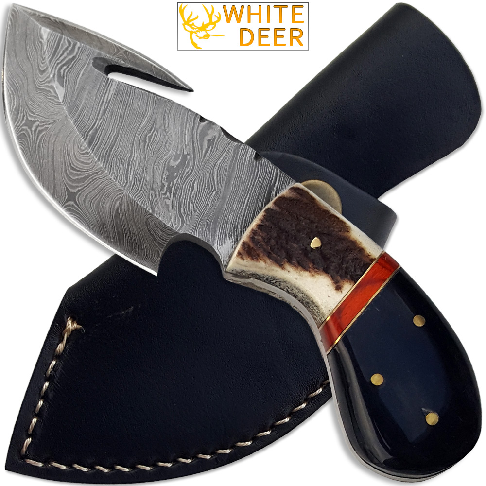 White Deer Damascus Gut Hook Knife, 3.5 Blade, Stag/Wood Handle