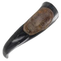 IN4263WS - Scab of the Sea Pirate Drinking Horn