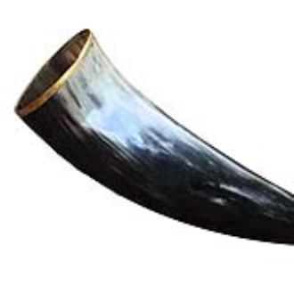 The Hooded Raven Large Pure Brass Rim Drinking Horn Canvas Pouch Included