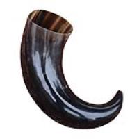IN4200 - Extra Large Medieval Beer Ale Mead Drinking Horn